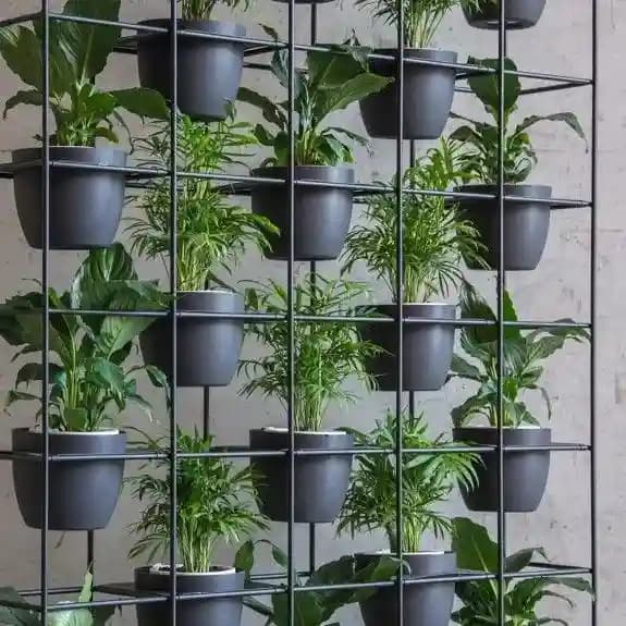 Indoor Vertical Farm