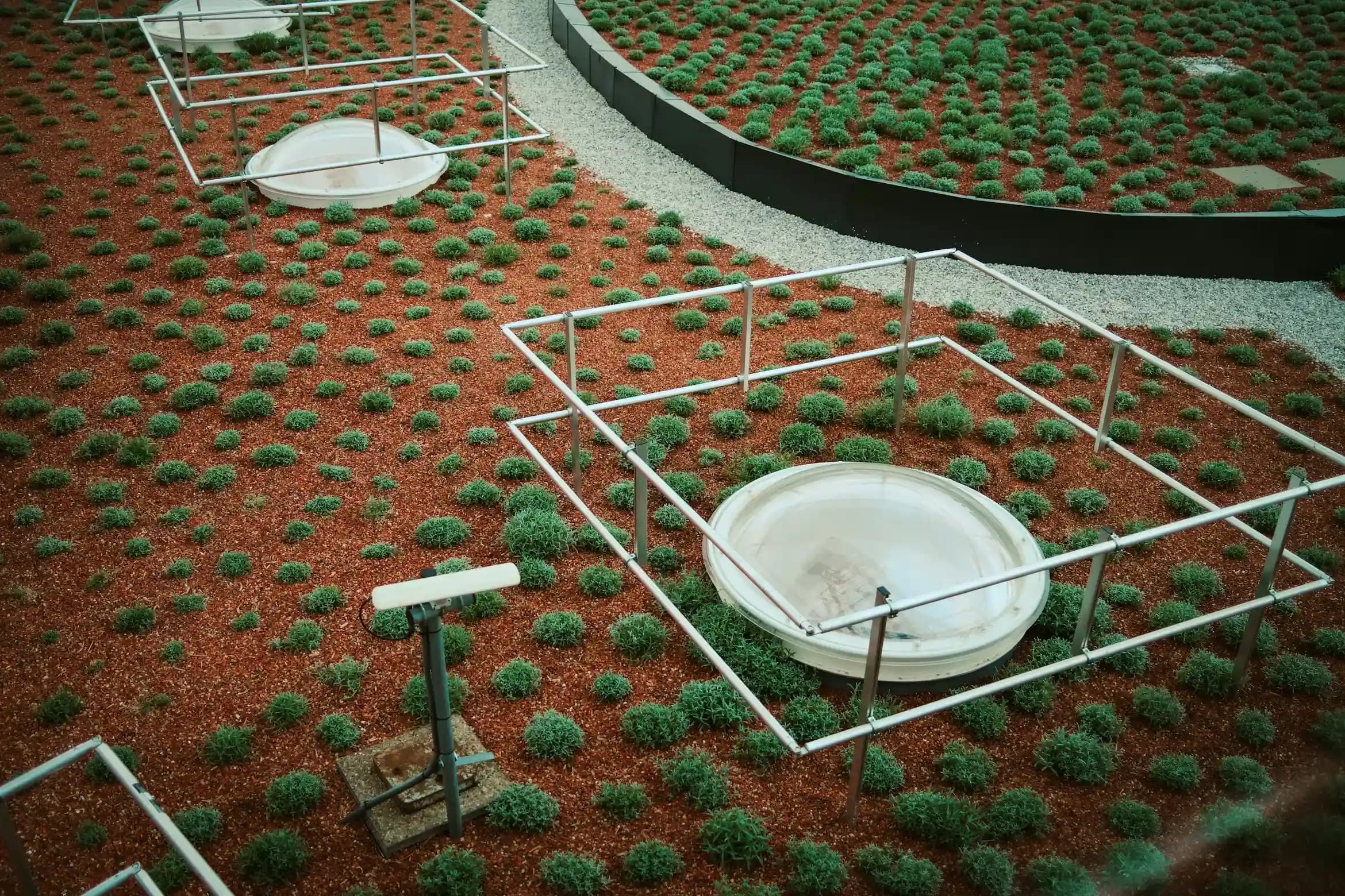 Manbat by Arada — photo 1