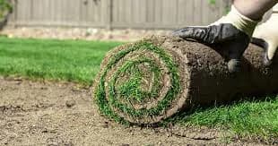 Modern Residential Complex Turf